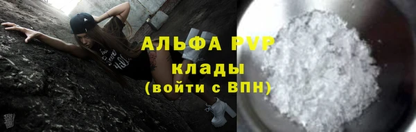 прущие грибы Струнино