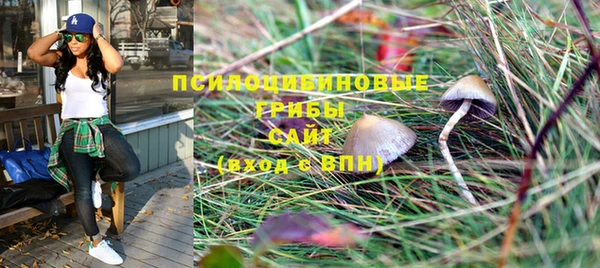 мефедрон Богородицк