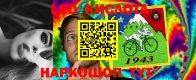 прущие крисы Тулун