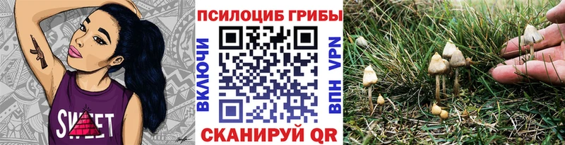 наркота  гидра сайт  Галлюциногенные грибы ЛСД  Реж 