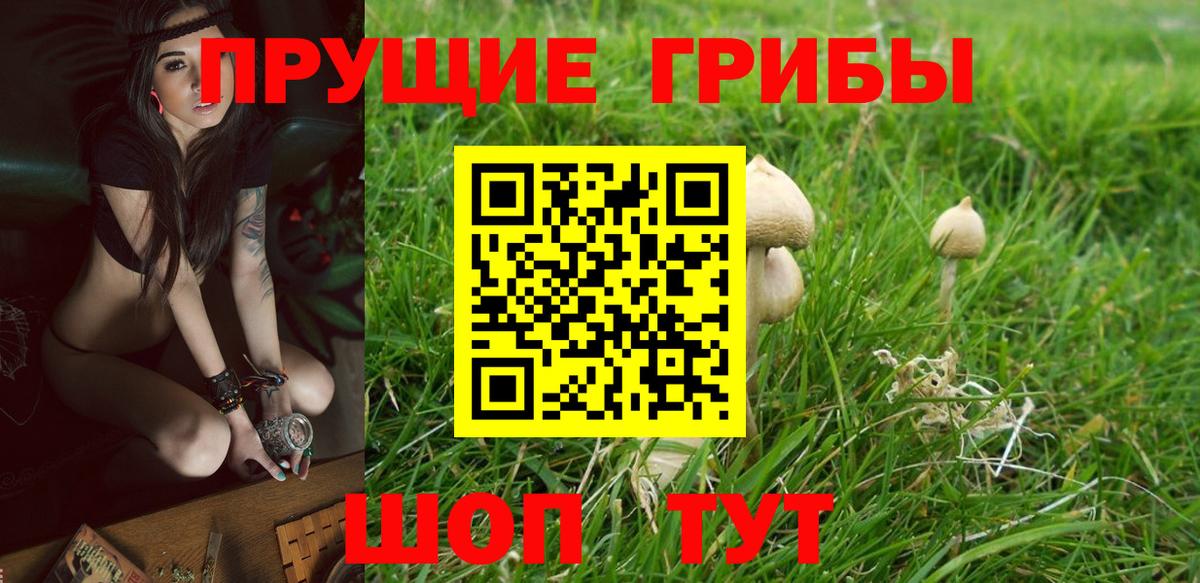 Псилоцибиновые грибы GOLDEN TEACHER Реж