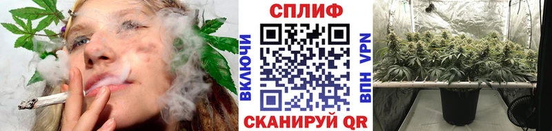 Конопля VHQ Реж